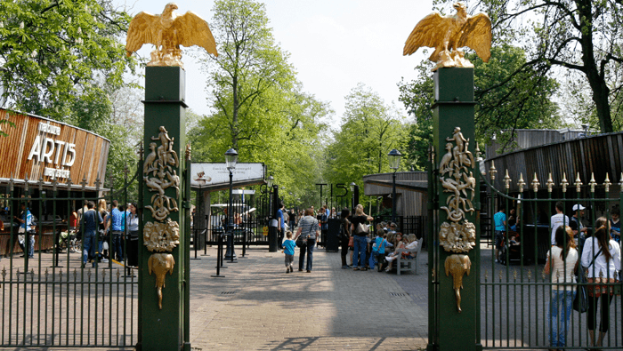 Gietvloer voor Artis dierentuin