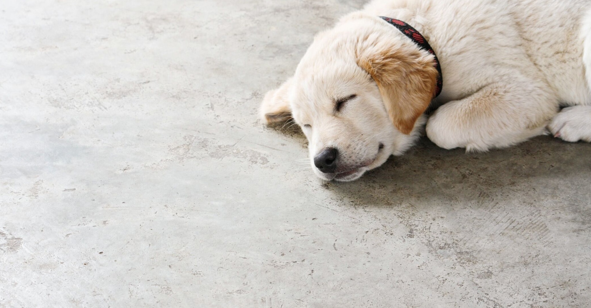 Betonvloer voor woning