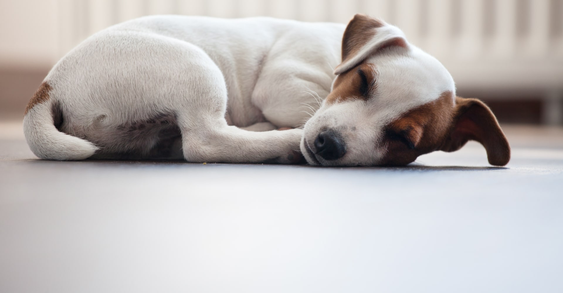 Gietvloer vloerverwarming comfortabel