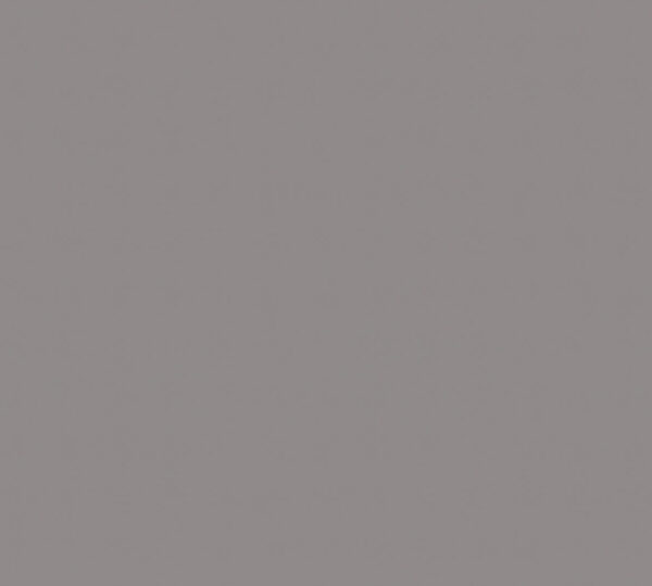 PLATINUM GREY