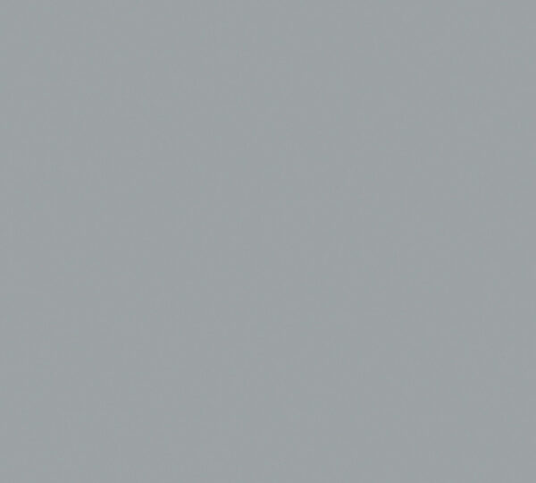 WINDOW GREY